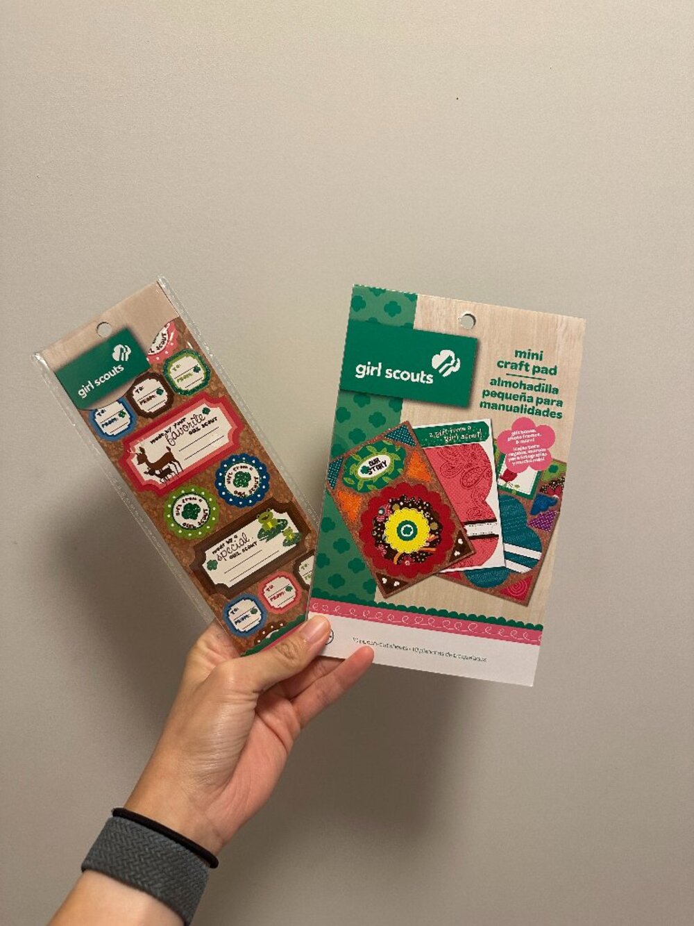 Lot of Girl Scouts Scrapbook Sticker Packs